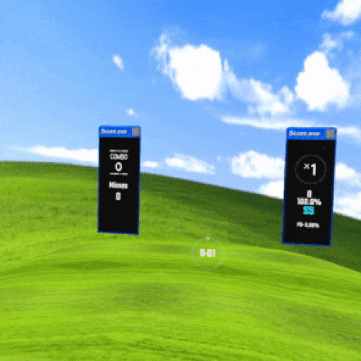 Windows XP Platform